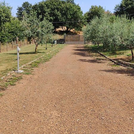 Il Melarancio B&B Monterosi Екстериор снимка